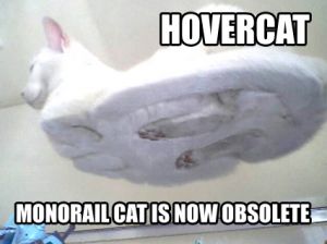 Hovercat.jpg