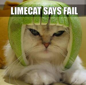 Limecat says fail.jpg
