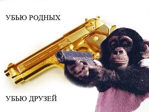 Monkey with gun.jpg