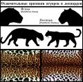 Миниатюра для версии от 01:31, 17 марта 2022