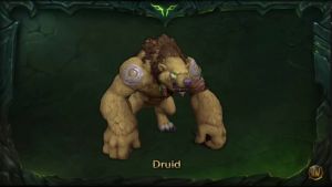 Druid bear final.jpg