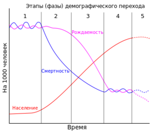 Demographic transition1.png