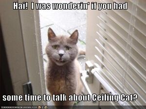 Cat-door-talk-ceiling-cat.jpg