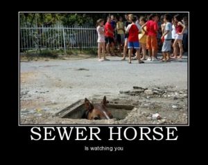 Sewer-horse-dem.jpg
