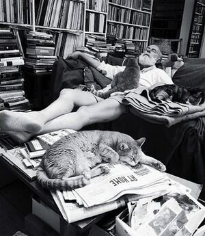 Hemingway cats.jpg