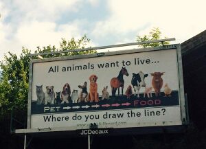 Vegan billboard.jpg