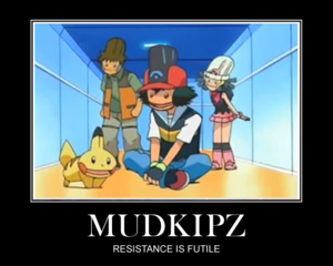 Mudkipz resistance.png