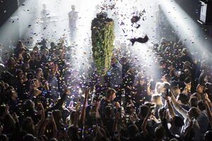 Cannabis celebration.jpg