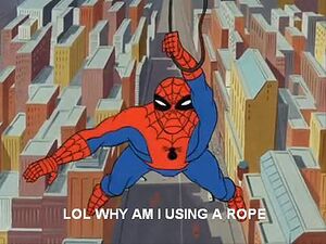 Spider-roap.jpg