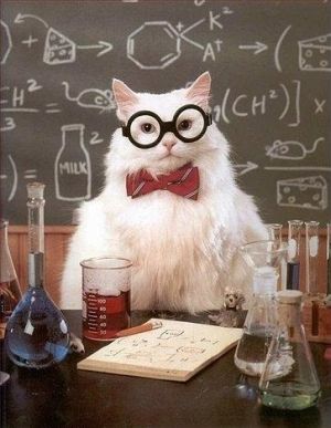 Chemistry cat.jpg