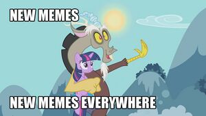 Pony memes everywhere.jpg