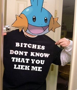 Bitchesdontknowmudkip.jpg