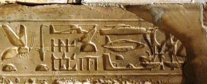 Egypt artefact.jpg