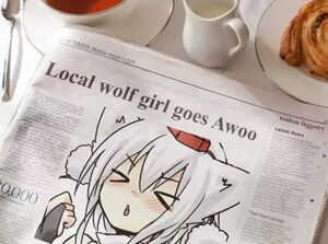 Awoo-newspaper.jpg