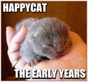 Happycat-the-early-years.jpg