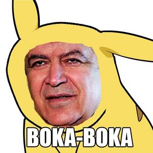 BokaBoka.jpg