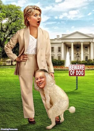 Hillary-Clinton-with-Sex-Poodle-Al-Gore.jpg