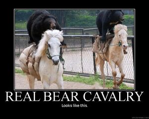 Real bear cavalry.jpg