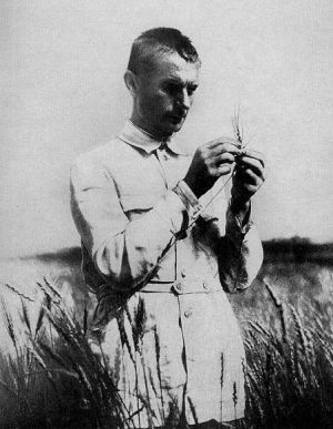 Lysenko in field with wheat.jpg