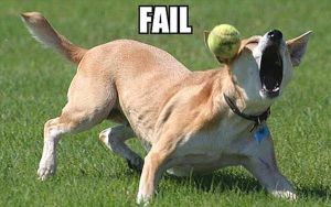 Dog fail.jpg