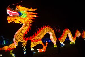 Kitajskij novogodnij drakon.jpg