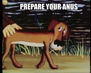 Prepare your anus dog.jpg