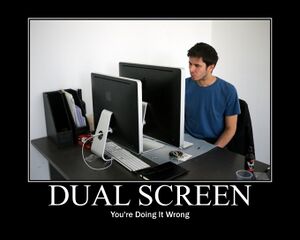 Doing it wrong dual screen.jpg