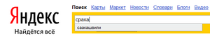 Yandex-Saakashvili.png