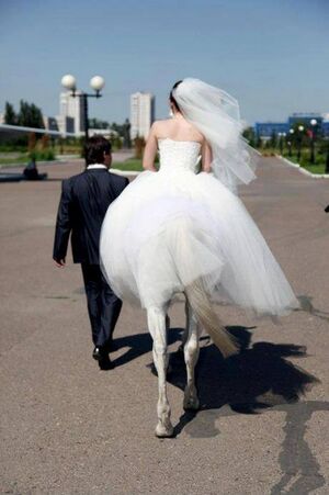 Horsemarried.jpg