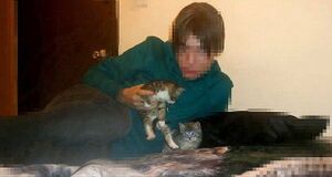 Luka Magnota with kittens.jpg