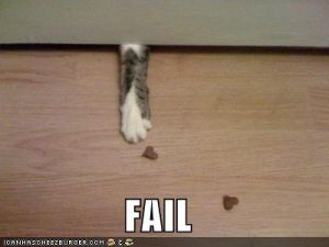 Cat fail.jpg