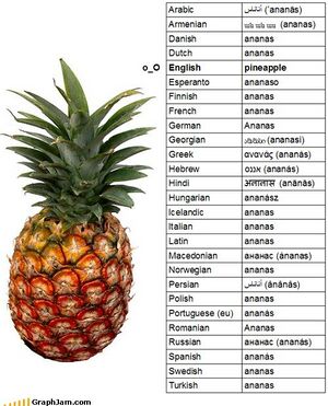 VNEZAPNO pineapple.jpg