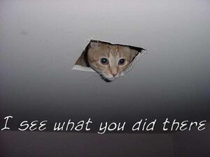 ISWYDT (Ceiling Cat).jpg