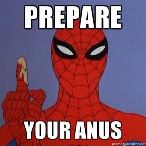 Prepare your anus spiderman.jpg