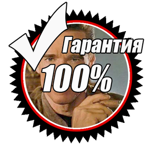 Гарантия 100%.png