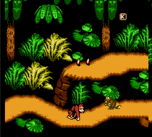 Donkey Kong Country 4.png