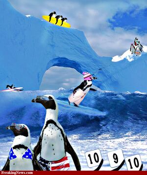Penguins-Surfing-in-Antarctica .jpg