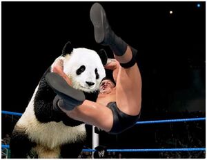 RKO Panda.jpg