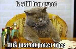 Happycat-poker-face.jpg