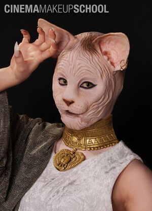 Egyptian cat cosplay.jpg