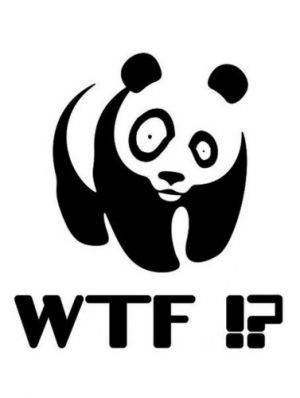 Panda wtf.jpg